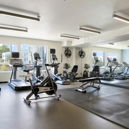 A gym with workout equipment